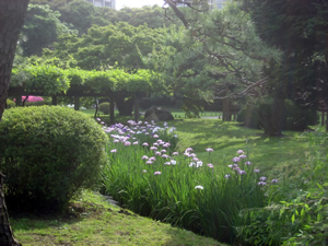 hamarikyu_11.jpg