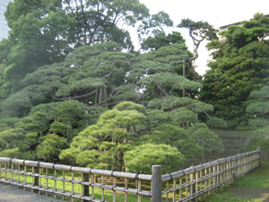 hamarikyu_15.jpg