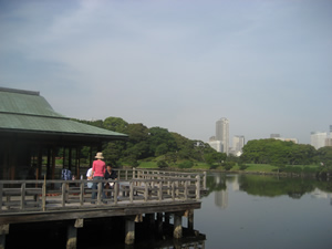 hamarikyu_4.jpg