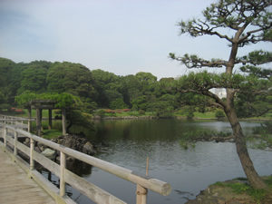 hamarikyu_5.jpg