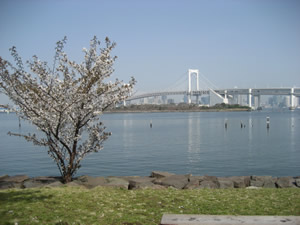 odaiba-20070401-3.jpg