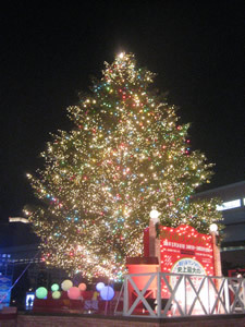 odaiba-tree.jpg