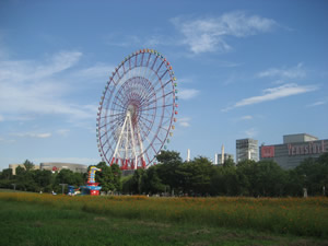 odaiba_hana1.jpg